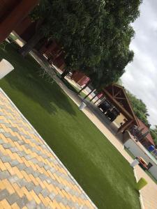 a green lawn with a tree and a building at Resort Nabruni in Belas