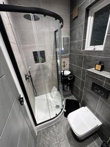 a bathroom with a shower and a toilet at Tranquil Oasis in Gravesend, Kent in Northfleet