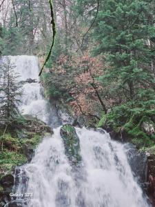 Príroda v okolí dovolenkového domu