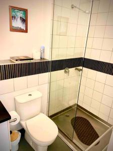 een badkamer met een toilet en een douche bij Cosy, Central Melbourne City Apartment in Melbourne