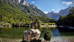 a statue of a giraffe on a rock in a lake at Apartment Mojstrovka with Sauna and free parking on site in city center in Kranjska Gora