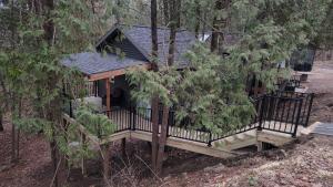 ein Baumhaus mit Terrasse im Wald in der Unterkunft Aefintyr in Elba + 24 Fotos