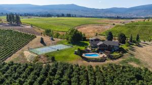 an estate in the napa valley with a pool and a vineyard at Crawford View in Kelowna