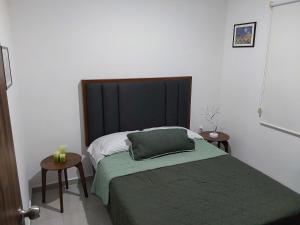 a bedroom with a bed with a green blanket and two tables at New Apartment near to Downtown in El Jacal