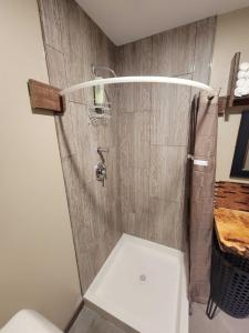 W łazience z drewnianą ścianą znajduje się prysznic. w obiekcie Aefintyr w mieście Elba