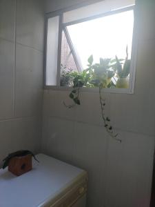 a bathroom with a window with a plant in it at Próximo ao Consulado - Quarto Inteiro in Porto Alegre