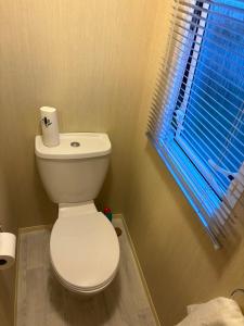 a white toilet in a bathroom with a window at H13 Sunnymede in Ingoldmells +10 photos