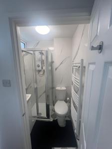 a bathroom with a toilet and a walk in shower at Elegant House in Barnstaple