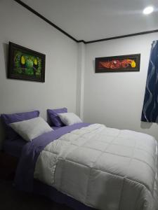 a bedroom with a bed and two pictures on the wall at Rohrmoser Geromax parque avion in San José