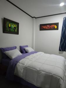 a bedroom with a bed and two pictures on the wall at Vic House in San José