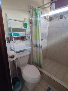 a small bathroom with a toilet and a shower at La Casa Colorada in San Benito