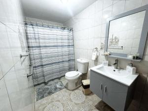 a bathroom with a toilet and a sink and a shower at Casa Doña Guilla 2 in Luyando