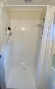 y baño con ducha y cortina de ducha. en Maple Hill Cottage en Castle Forbes Bay