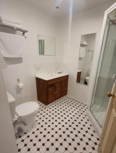 a bathroom with a toilet and a sink and a shower at The Macquarie Hobart in Hobart