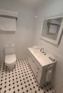 a bathroom with a toilet and a sink and a mirror at The Macquarie Hobart in Hobart