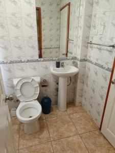 ein Bad mit einem WC und einem Waschbecken in der Unterkunft HOSTAL EL VALLE in Angol