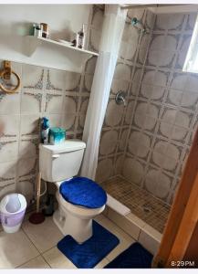 a bathroom with a shower and a toilet with a blue seat at Shorrs Villas in Seminets