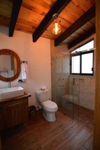 マサミトラにあるCabaña Cedrelaのバスルーム(トイレ、洗面台、シャワー付)