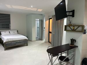TV o dispositivi per l'intrattenimento presso Hotel Ocean Fusagasuga
