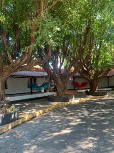 una fila de árboles frente a un edificio en hotel Las Cabañitas 8873-3748, en Managua