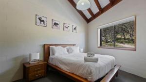 a bedroom with a bed and a window at 1750 Hotham 12 in Mount Hotham
