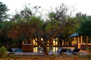 un grupo de sillas bajo un árbol junto a una piscina en Lario Resort Sigiriya, en Sigiriya