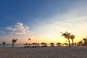 a group of umbrellas and palm trees on a beach at The Westin Blue Bay Resort & Spa in Lingshui