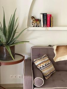 a living room with a couch and a plant on a shelf at COLIVER - COLIVING A LA RÉUNION in Saint-Pierre