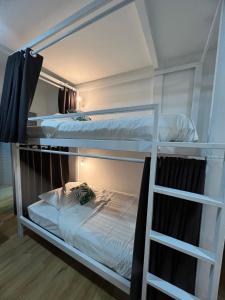 two bunk beds in a room with a ladder at Tiger House Hostel Koh Tao in Ko Tao
