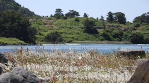 a view of a lake with mountains in the background at Hado fourseasons pension in Jeju