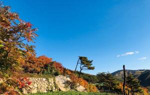 Paesaggio naturale nelle vicinanze dell'affittacamere