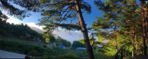 Paesaggio naturale nelle vicinanze dell'affittacamere