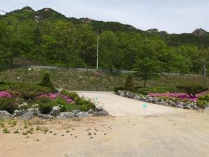 a garden with pink flowers and a dirt road at Sangjoo munjangdae healing house in Sangju