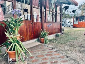 uma casa com vasos de plantas sentados fora dela em Hotel Terravolcan em La Tenería