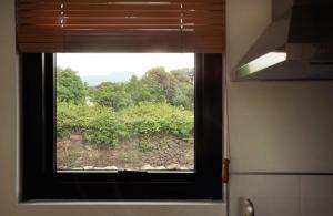 a window in a room with a view of a forest at Ilo Pension in Seogwipo