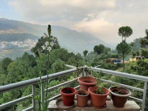 Naturlandskabet i nærheden af den private indkvartering