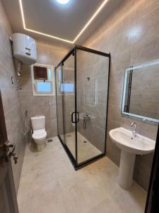 a bathroom with a shower and a toilet and a sink at AliBaba Pyramids View Inn in Cairo