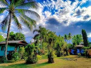 Inandeng的住宿－A. Zaragosa Lodging House，房屋前的棕榈树