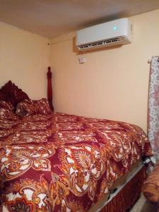 1 dormitorio con 1 cama y aire acondicionado en Boothe's Palace en Oracabessa