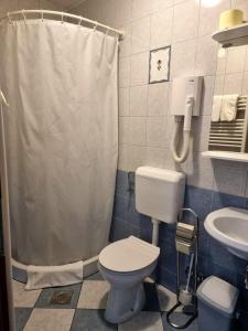 a bathroom with a toilet and a sink at Bed and Breakfast Valjavec in Kranj