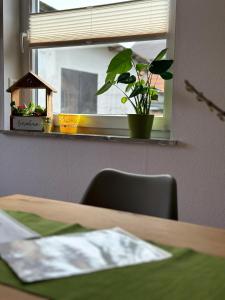 uma planta sentada num parapeito de janela ao lado de uma mesa em Ferienwohnung WerraLiebe em Bad Sooden-Allendorf