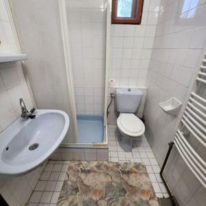 uma casa de banho com um lavatório, um WC e um chuveiro em Mineral Zafír apartman em Igricetanya