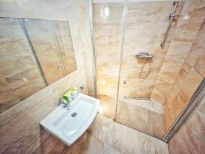 a bathroom with a sink and a shower at Summer Apartment in Przemyśl