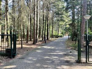un camino en un parque con una valla y árboles en Quaint Villa in Doornspijk with Swimming Pool en Doornspijk