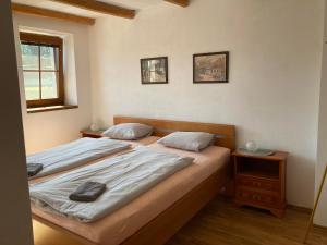 una camera da letto con un letto e una finestra di Sklípek na Větřáku a Čejkovice