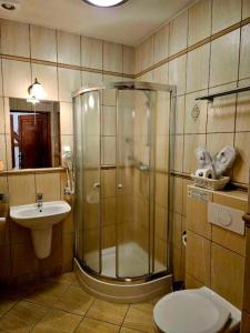 a bathroom with a shower and a toilet and a sink at Zajazd Karczma Zagłoba in Świdnica