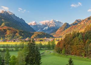 a view of a valley with mountains in the background at Hotel Kranjska Gora in Kranjska Gora