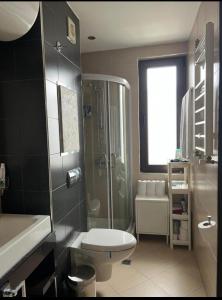 a bathroom with a shower and a toilet and a sink at Luxury Studio in Hotel Perun Lodge SPA in Bansko