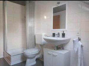 a white bathroom with a toilet and a sink at Ferien in der Eifel in Berg