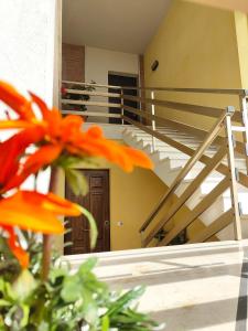 une fleur orange devant un escalier dans l'établissement Bastia Home Appartamento, à Bastia Umbra